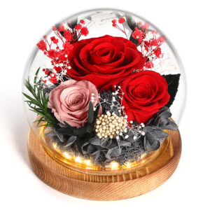 Preserved Red Real Rose