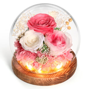 Eternal Rose Gifts for Women